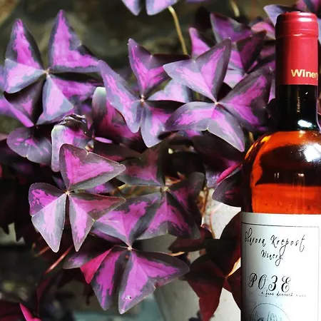 Slavova Krepost Hotell 3*