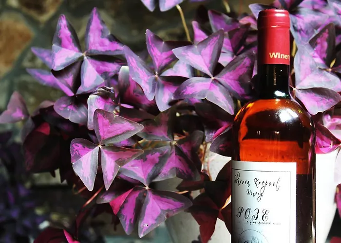 Slavova Krepost Hotel 3*